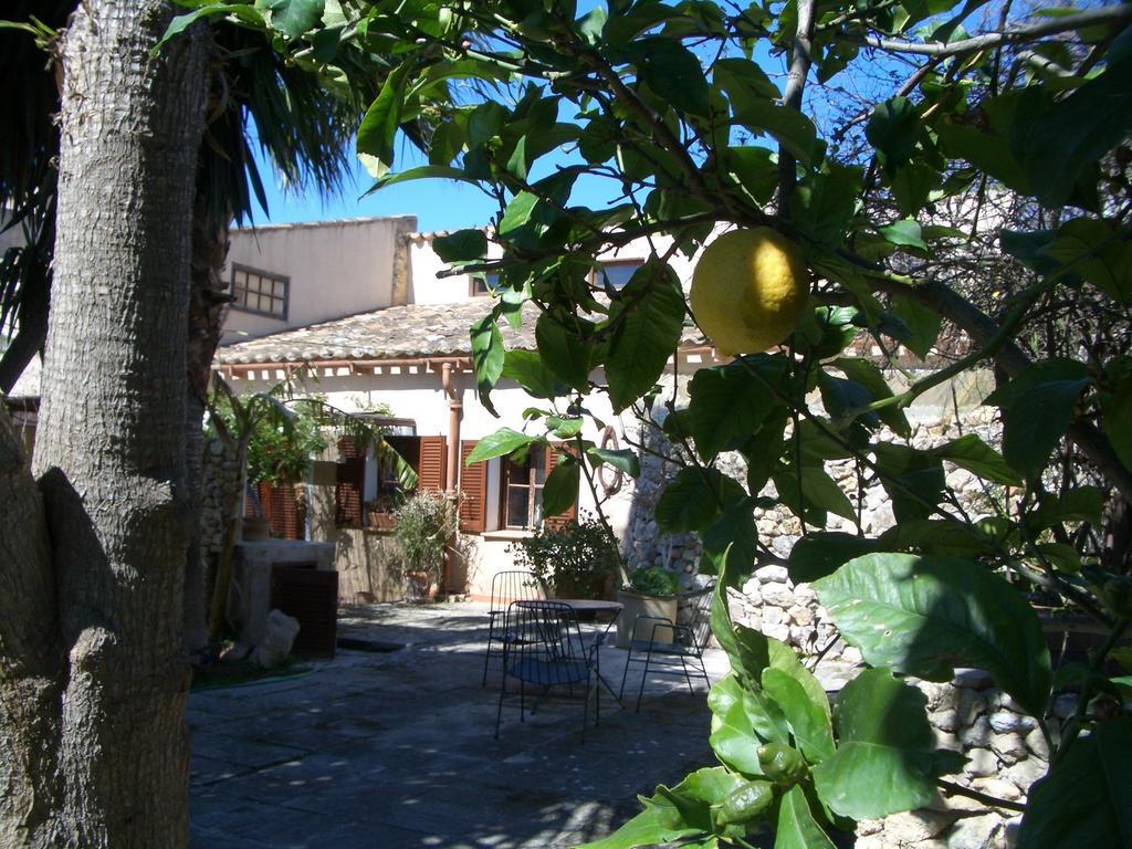 Finca Cal Rei * Establiments
